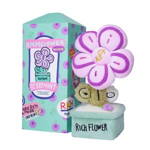 RICH FLOWER Плюшевая кукла Berry Mint Dolls высотой 30 см