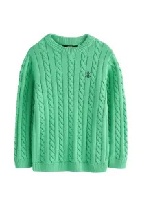 Джемпер с круглым вырезом и косами стандартного кроя Next, Green