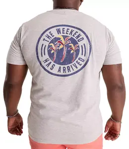 Мужская футболка с коротким рукавом chubbies, цвет Medium Heather Grey