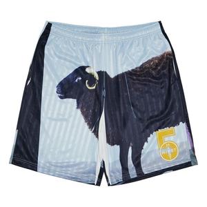 Шорты Supreme x Damien Hirst Soccer Short, Black