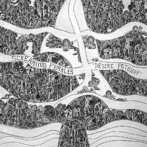 Виниловая пластинка Screaming Females: Desire Pathway