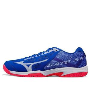 Кроссовки gate sky plus 3e wide 'blue' Mizuno, синий