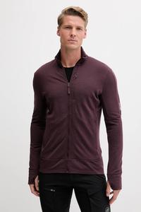 Спортивная толстовка Mer 260 Quantu IV Icebreaker, фиолетовый