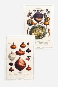 Кухонные полотенца Medicine, мультиколор