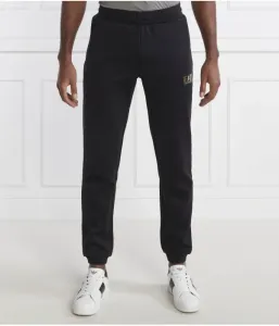 Спортивные штаны regular fit Ea7, черный