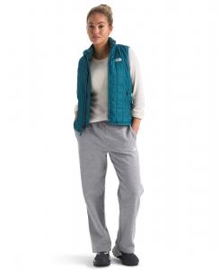 Женские брюки Evolution Simple Dome Straight Leg Pants The North Face, Tnf Pale Grey Heather