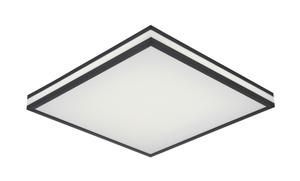 Светодиодный потолочный светильник Novel, черный/белый