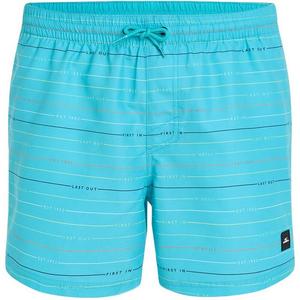 Плавки Jack Cali First 15'' шорты для плавания O'Neill, синий