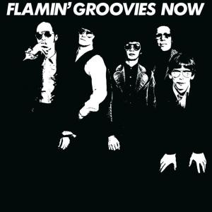 Виниловая пластинка LP Now [180 Gram White Vinyl] - The Flamin' Groovies