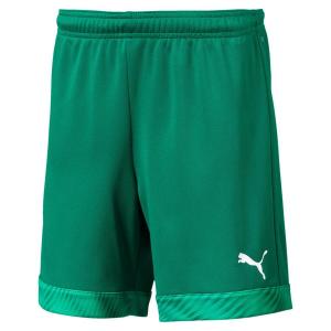 Детские шорты Puma Short Cup Jr 704035