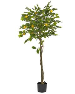 Декоративное растение Beliani LEMON TREE, 66x66x66 см, черный/зеленый