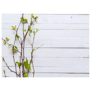 Подставка под весенние ветки (набор из 12 шт.) Tischsetmacher, мультколор