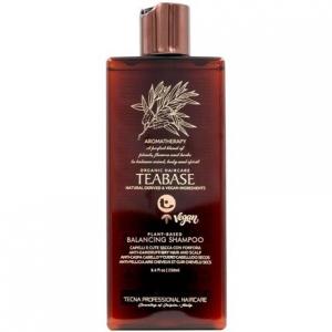 Балансирующий шампунь Teabase Aromatherapy 250 мл Tecna