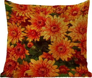 Подушка для улицы - Цветы - Оранжевый - Хризантема - 60x60 см - Устойчива к погодным условиям - Подушка для отдыха - Декоративная - Подушка для сна MuchoWow