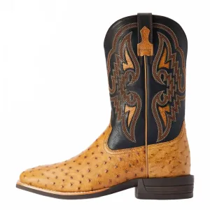 Мужские антикварные богемные ковбойские сапоги с кинжалом из черной страусиной кожи Ariat