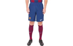 Футбольные шорты мужские синие Nike, синий