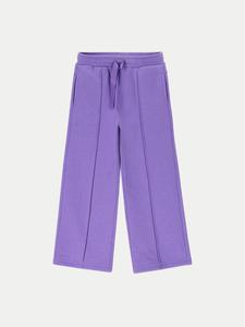 Спортивные брюки regular fit ZC4120101AGK Coccodrillo, фиолетовый