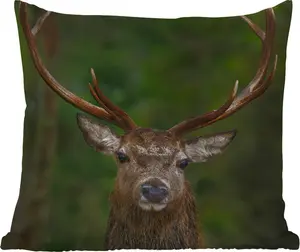 Подушка для улицы - Олень - Рога - Натуральная - 50x50 см - Устойчива к погодным условиям - Подушка для отдыха - Удобная - Подушка с изображением MuchoWow