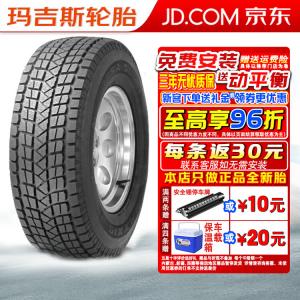 Зимние шины Maxxis SS-01 265/50R19