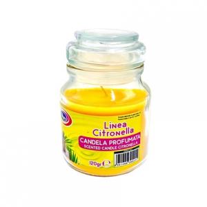 Профессиональная свеча Vapa 120 г, цитронелла Yankee. Vapour