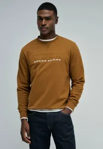 Толстовка Salsa Jeans, Braun