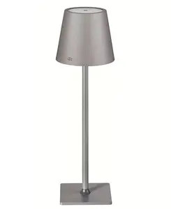 14,96-Дюймовая светодиодная настольная лампа с алюминиевой подошвой Frieling, gray
