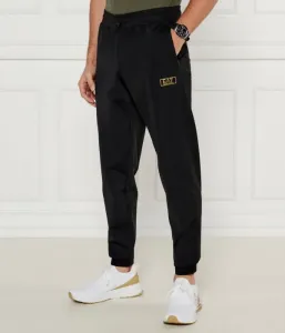 Спортивные штаны regular fit Ea7, черный