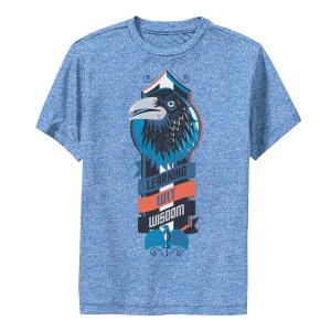 Футболка с графическим логотипом «Гарри Поттер Равенкло» для мальчиков 8–20 лет «Обучение остроумию и мудрости» Harry Potter