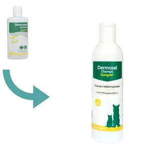 Стангест Шампунь Дермосел 250мл Stangest