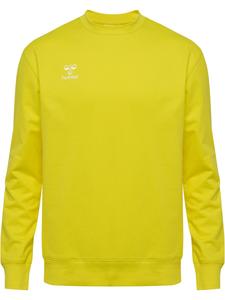 Спортивная толстовка Hummel Athletic GO 2.0, желтый
