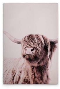 Картина на холсте A.S. Création Highland Cattle 1 цвет cremebeige