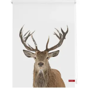 Роликовая штора с боковым креплением Rollo Klemmfix, без сверления, затемнение, олень - бело-коричневый затемняющая | энергосберегающая, свободно подвесная Lichtblick Original, белый