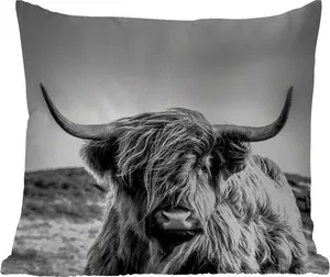 Подушка для улицы - Корова - Шотландский высокогорный скот - Черный - Белый - Животное - Природа - Дикая природа - 45x45 см - Водонепроницаемая - Подушка для отдыха - Подушка с фотографией - Декоративная подушка MuchoWow