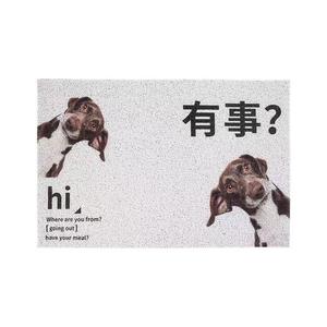 Budis Ковер 40х60 см из ПВХ для прихожей, петельчатый, готов к использованию