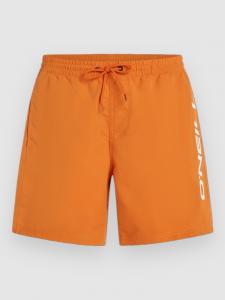 Пляжные шорты O'Neill Cali 16'' Boardshorts, cinnamon stick