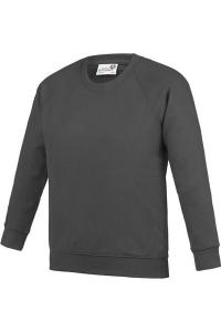 Толстовка AWDis Academy Raglan, темно-серый