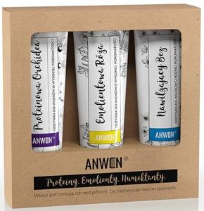 Мл, подарочный набор высокопористых кондиционеров для волос Anwen, 3x100