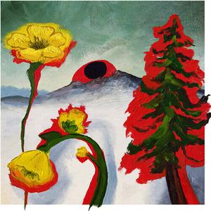 CD диск Woods: Strange To Explain