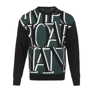 EMPORIO ARMANI Свитер мужской зеленый Crew Neck Moderate Others