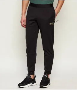 Спортивные штаны regular fit Ea7, черный