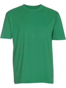 TEESHOPPEN Футболка в зеленом цвете