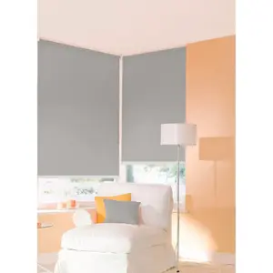 Солнцезащитная рулонная штора One size Style uni Защита от света без сверления, подвесная, Сделано в Германии Sunlines, светло-серый