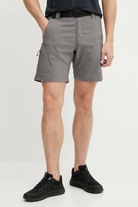 Шорты для активного отдыха Silver Ridge Columbia, серый