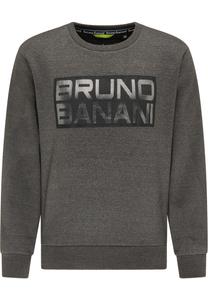 Толстовка Bruno Banani WATSON, mottled grey
