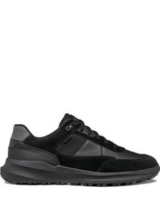 Кожаные кроссовки Geox PG1X, черный