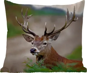 Подушка для улицы - Олень - Папоротники - Природа - 40x40 см - Устойчива к погодным условиям - Подушка для отдыха - Подушка - Внутренняя отделка - Обивка с изображением MuchoWow