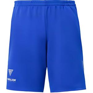 CORALIAN Летние шорты мужские голубые SS24