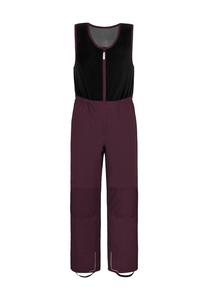 Детские зимние брюки «Кармакс» normani, цвет Violett