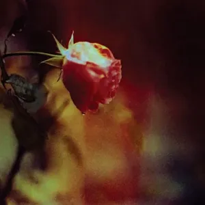 Виниловая пластинка LP Stretch The Truth / Green & Gold [Olive Green Vinyl] (7") - Pluralone