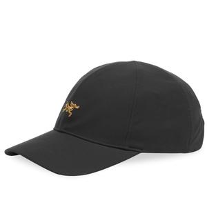 Кепка с маленькой птичкой Arc'Teryx, 24k черный